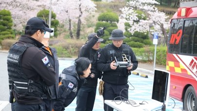Wilk uciekł z zoo i krąży po mieście. Zbiega szukają setki osób