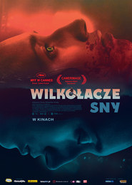 Wilkołacze sny