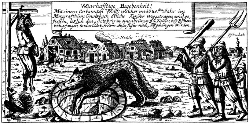 Wilkołak na rycinie z 1685 roku /domena publiczna
