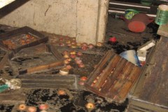 Wilków szacuje straty