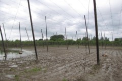 Wilków szacuje straty