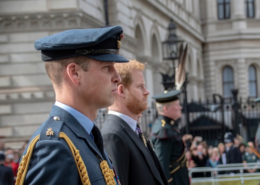 William i Harry nie zostali uwzględnieni w testamencie wuja /Shutterstock