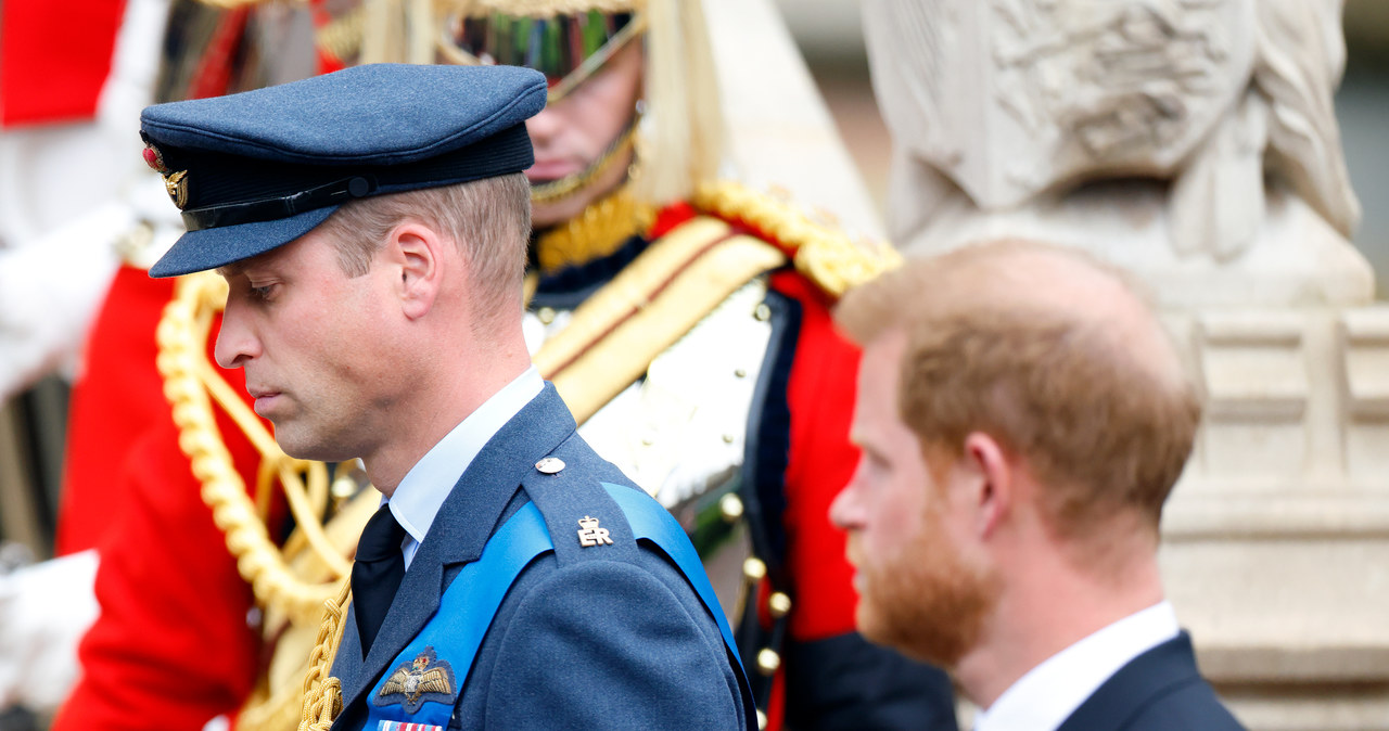 William i Harry /Max Mumby/Indigo /Getty Images