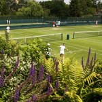 Wimbledon: Jerzy Janowicz wraca do Londynu po ubiegłorocznej absencji