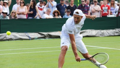 Wimbledon. Pięcioro Polaków zagra w czwartek