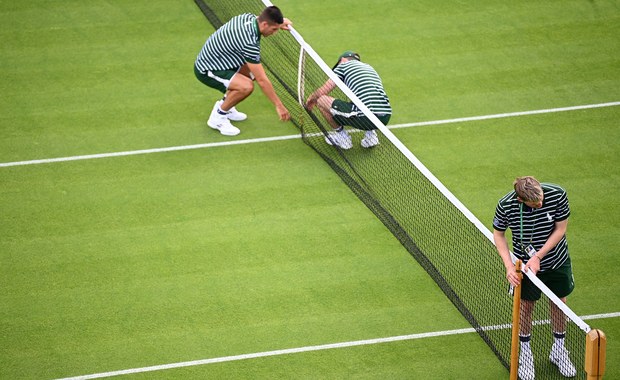 Wimbledon - znalezione w  trawie, czyli wybrane ciekawostki 134. edycji