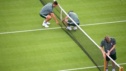 Wimbledon - znalezione w  trawie, czyli wybrane ciekawostki 134. edycji