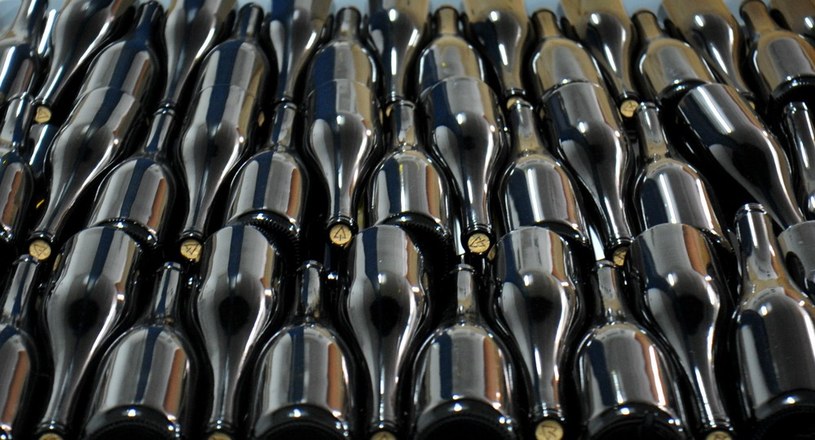 Wina z krakowskiej winnicy cieszą się coraz większą popularnością. W tym roku ma zostać zakorkowanych aż 55 tys. butelek! /East News