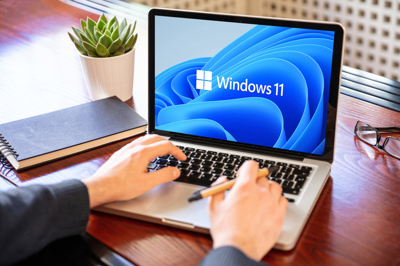 Windows 11 zyskuje kosztem Windowsa 10, choć to ten drugi system operacyjny cieszy się jeszcze większą popularnością wśród graczy /123RF/PICSEL