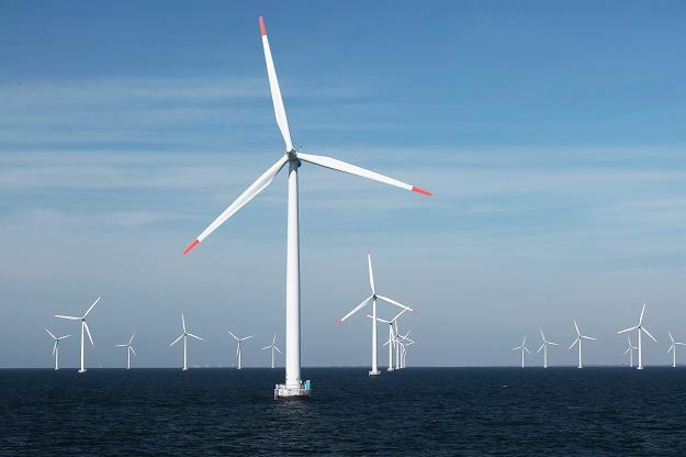 Windpark E.ON Rodsand I przy duńskim wybrzeżu /EPA