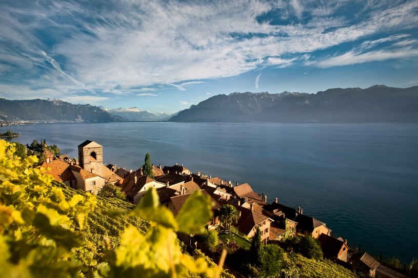 Winnice tarasowe w Lavaux /Switzerland Tourism - BAFU By-Line: swiss-image.ch / Marcus Gyger /.