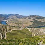 Wino - główna atrakcja turystyczna Portugalii