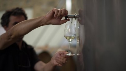 Wino z Bordeaux będzie na wagę złota? To konsekwencja suszy