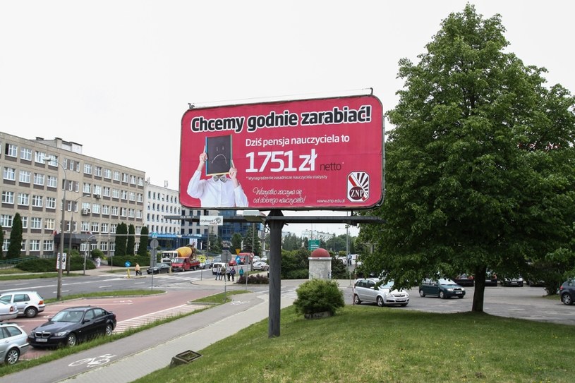 Wiosenna kampania ZNP /Artur Szczepański /Reporter