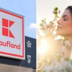 Wiosenna świeżość w domu taniej. Kaufland przecenił popularne zapachy do domu.