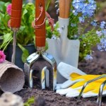 Wiosenne porządki w ogrodzie? Netto obniża ceny narzędzi nawet o 30%