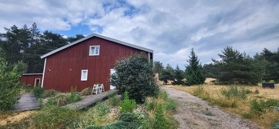 Wioska norweska w Zagórowie /Beniamin Piłat /RMF FM