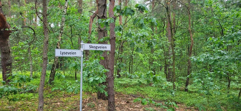 Wioska norweska w Zagórowie /Beniamin Piłat /RMF FM