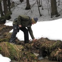 Leśniczy Tadeusz Zwijacz poszukuj pierwszych oznak wiosny w Dolinie Strążyskiej