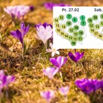 Wiosna jeszcze w lutym? Potężne uderzenie ciepła w Polsce