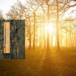 Wiosna na horyzoncie. Taką temperaturę wskażą termometry