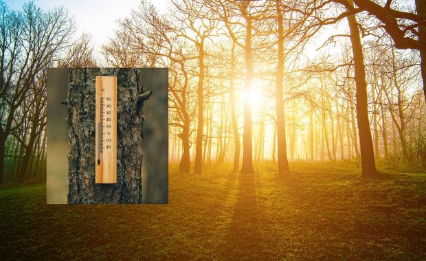Wiosna na horyzoncie. Taką temperaturę wskażą termometry