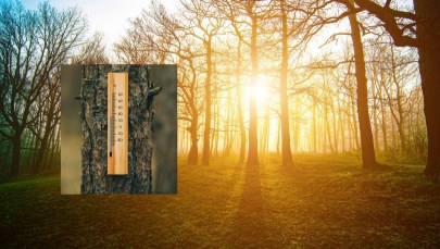 Wiosna na horyzoncie. Taką temperaturę wskażą termometry