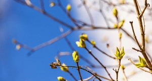 Wiosna na horyzoncie. To zasługa potężnego antycyklonu