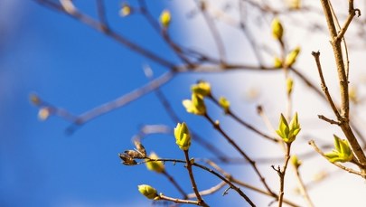 Wiosna na horyzoncie. To zasługa potężnego antycyklonu