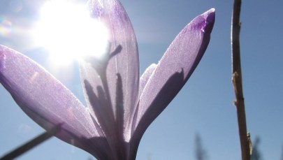 Wiosna nadchodzi wielkimi krokami. Przygotowujecie się do niej?