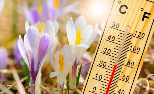 Wiosna nadejdzie wcześniej. Ten tydzień z temperaturą do 17 st. C