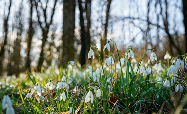 Wiosna przyszła szybciej, niż myślisz. Data, o której wielu zapomina