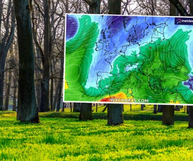 Wiosna się rozpycha. Alergicy muszą uważać