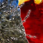 Wiosna umacnia się w Polsce. Nie wszędzie będzie jednak słonecznie