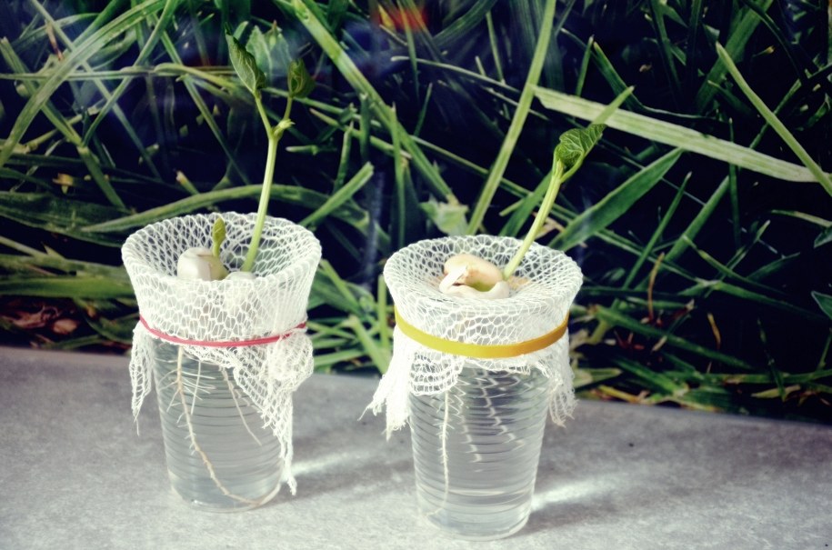 Wiosna w szklance /Marlena Chudzio /RMF24