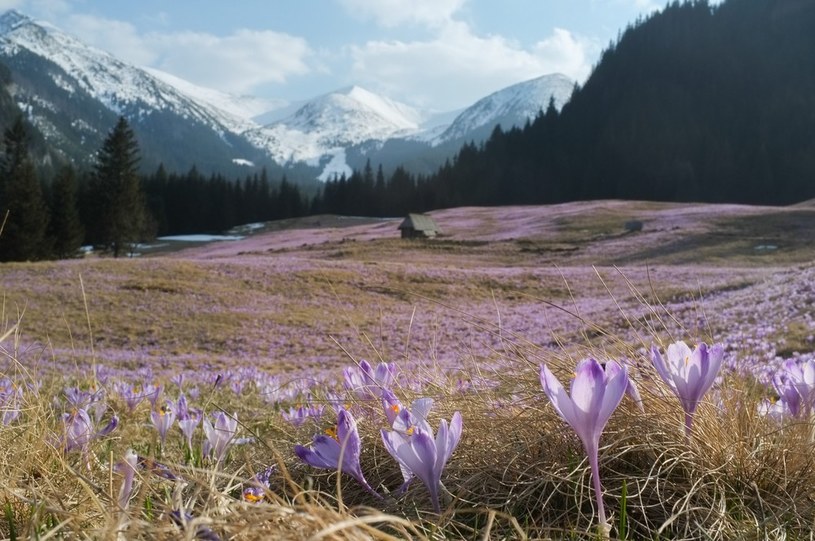 Wiosna w Tatrach /Łukasz Miechowicz /Reporter
