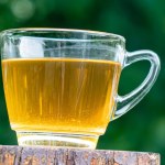 forsycja Wiosną zapomnij o zwykłej herbacie z cytryną. Ten darmowy napój ma 100 razy więcej rutyny