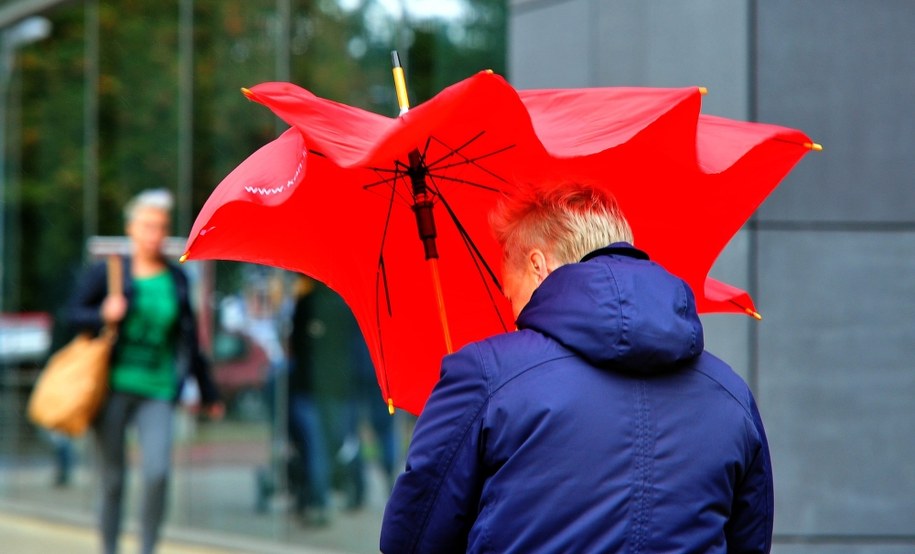 Wiosna zapowiada się deszczowo /Marcin Bielecki /PAP