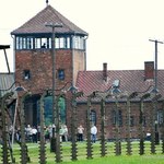 Wirtualna lekcja o zagładzie Żydów w niemieckim obozie Auschwitz