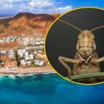 pył saharyjski Wirują w gorącym powietrzu. Biblijna plaga spadła na turystyczny raj Polaków