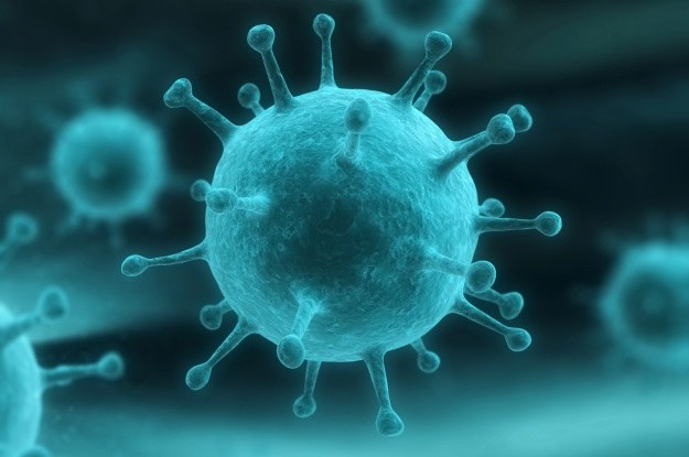 Wirus grypy jest wyjątkowo podatny na mutacje - stąd taka jego różnorodność /materiały prasowe