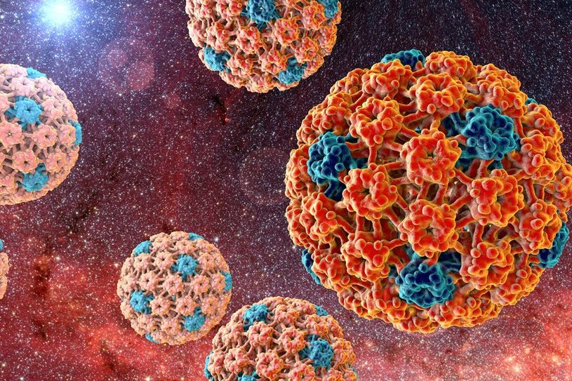 Wirus HPV /&copy;123RF/PICSEL
