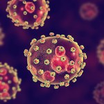 Wirus Lassa pojawił się w Europie. Co trzeba o nim wiedzieć? 