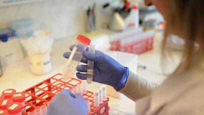 Wirus odry pomoże w walce z rakiem?