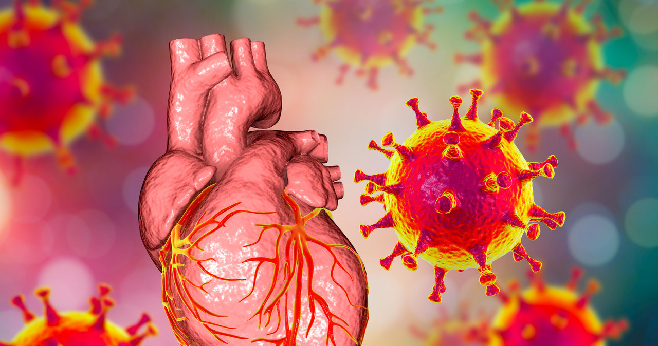 Wirus u podłoża problemów z sercem? Tak, to możliwe /123RF/PICSEL