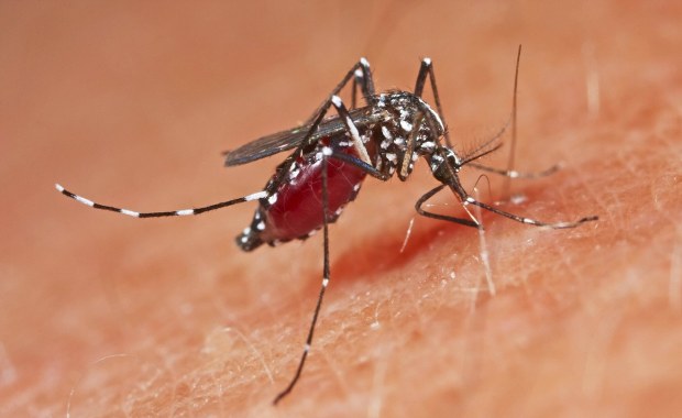 Wirus w popularnym wśród Polaków kraju. 9 osób nie żyje