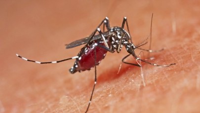 Wirus w popularnym wśród Polaków kraju. 9 osób nie żyje