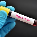 Wirus z Indii się rozprzestrzenia. Są śmiertelne ofiary. Szczepionki brak