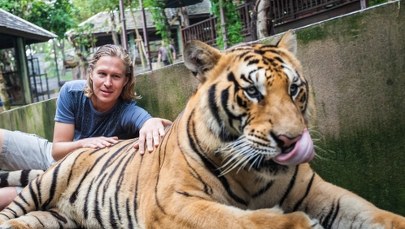 Wirus zabił ponad 70 tygrysów w miejscu popularnym wśród turystów