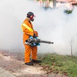 Wirus Zachodniego Nilu u komarów w Europie. Kolejna bariera złamana